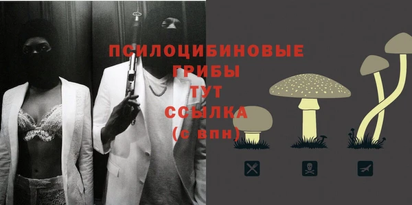 крисы Медногорск