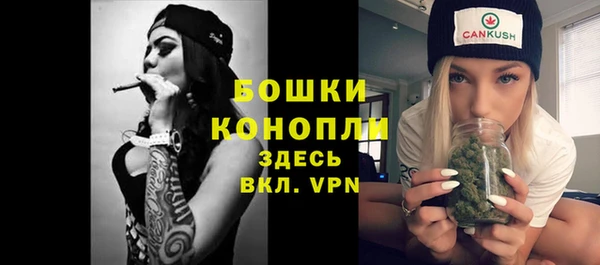 крисы Медногорск