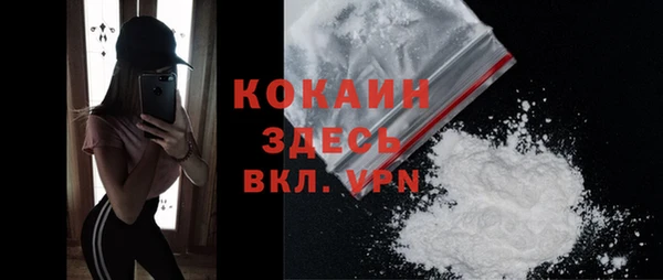 дмт Мегион