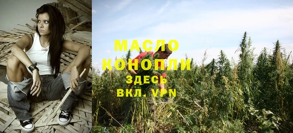 дмт Мегион