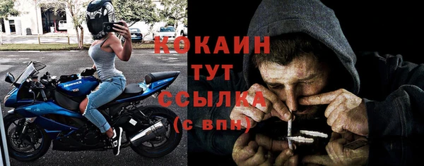дмт Мегион