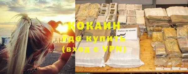 дмт Мегион