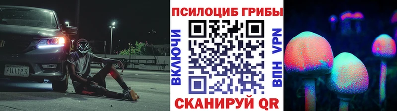 Псилоцибиновые грибы мицелий  Сельцо 